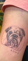 Image result for bulldog tattoos