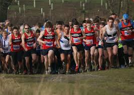 Image result for Billingham Marsh House Harriers