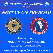 Image result for Dorking Wanderers F C