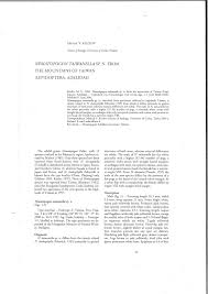 Attēlu rezultāti vaicājumam “Nematopogon sp.”