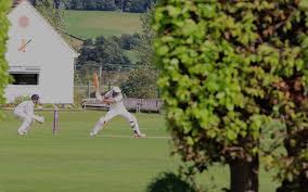 Image result for Steeton Cricket Club