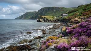 Image result for Isle Of Man