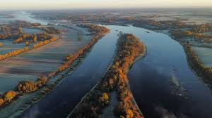 Attēlu rezultāti vaicājumam “Lycogala persicum young”