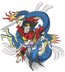 Image result for 210 JiuJitsu