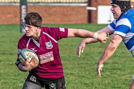 Image result for North Shields Rfc