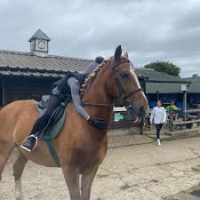 Image result for Palmers Riding Stables