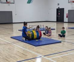 Image result for Lincoln Gymnastics Club