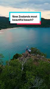 Image result for new chums beach