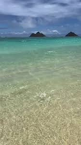 Image result for pheega