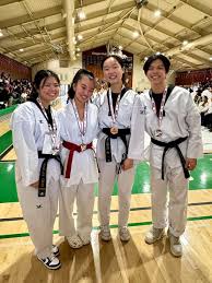 Image result for South Bank Taekwondo