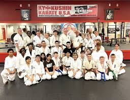 Image result for Newport Kyokushin Karate Club