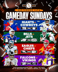 Image result for Midland Vikings