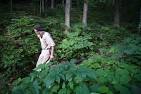 Letter from Joe Hollis at Mountain Gardens « Farm Together Now ...