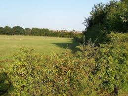 Image result for Cannock Cc