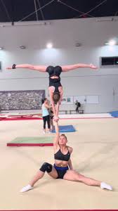 Image result for Elements Acro