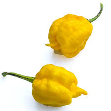 Afbeeldingsresultaat voor 7 pot hot pepper