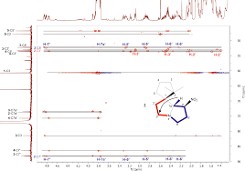 Attēlu rezultāti vaicājumam “Polyzonium germanicum”