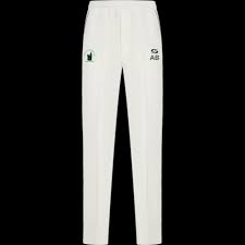 Image result for Wincanton Cricket Club