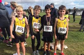 Image result for Louth Athletic Club