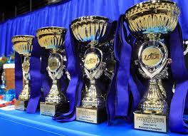 Image result for Kingfisher Twirling Team