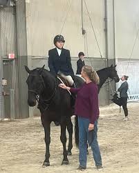 Image result for Annandale Equestrian Centre