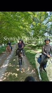 Image result for Scottish Equi Complex