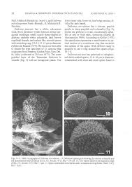 Attēlu rezultāti vaicājumam “Diderma sp.”