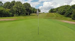 Image result for Mickleover Gc