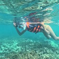 Image result for Wyndley NSC Snorkelling Club