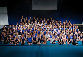 Image result for Weybridge Gymnastics