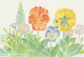 「望月麻里（マリ）」の画像検索結果