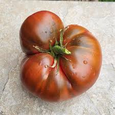 Afbeeldingsresultaat voor black elephant tomato