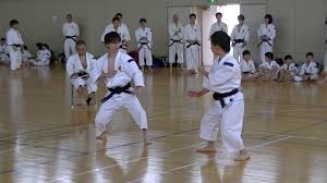 Image result for Abbey Shorinji Kempo Dojo