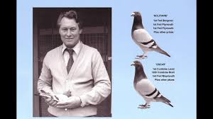 Image result for Abbeyton & Broomfield Racing Pigeons