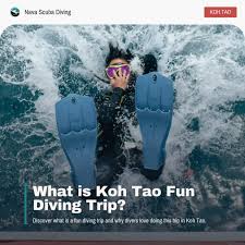 Image result for Scuba Fun