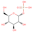 bmse000086 alpha-D-Glucose-1-phosphate at BMRB