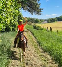 Image result for Dalkeith Park Equestrian Club