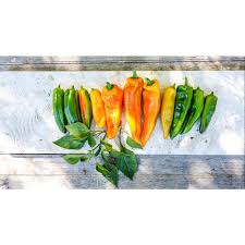 Afbeeldingsresultaat voor marconi golden sweet pepper