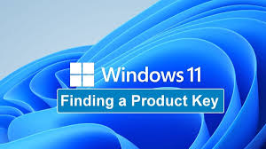 Image result for Windows key