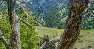 Image result for Ancestral Mountains
