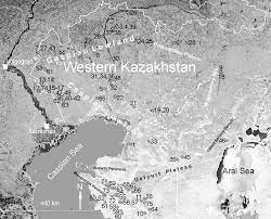 Attēlu rezultāti vaicājumam “Licea chelonoides sessile”