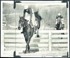Image result for Fisher Equestrian