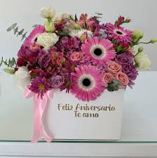 Image result for foto feliz aniversario