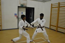 Image result for Kenshukai Karate