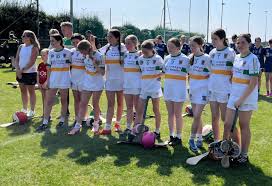 Image result for An Riocht Gaa Club