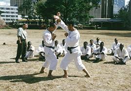 Image result for Cambridge Shorinji Kempo Dojo Club