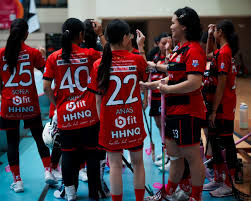 Image result for Mk Phantoms Floorball Club