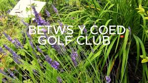 Image result for Betws-Y-Coed Golf Club
