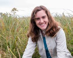 Image result for Mohn