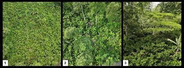 Image result for Wood Green A F S Association